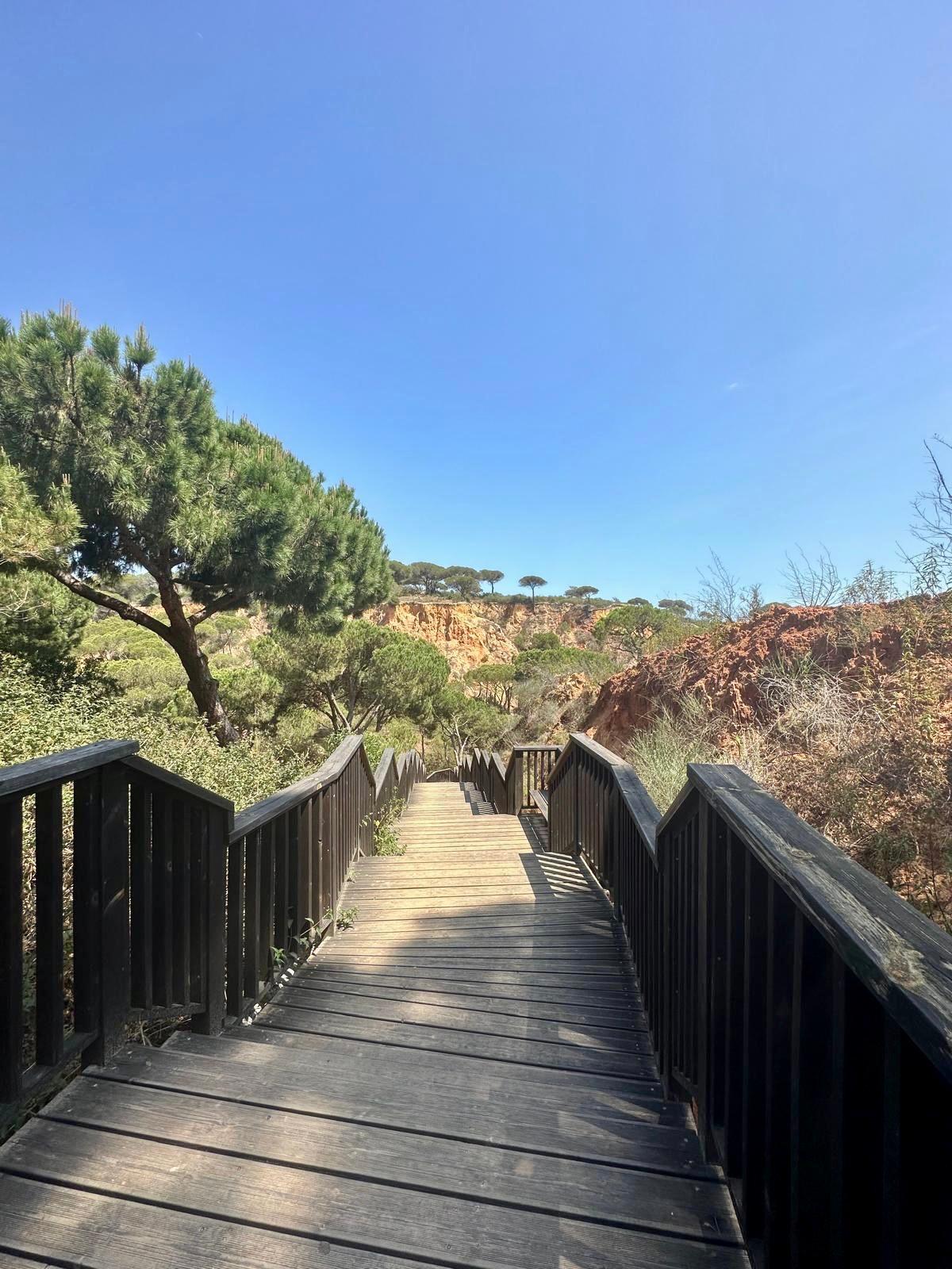 Wooden Walk Way